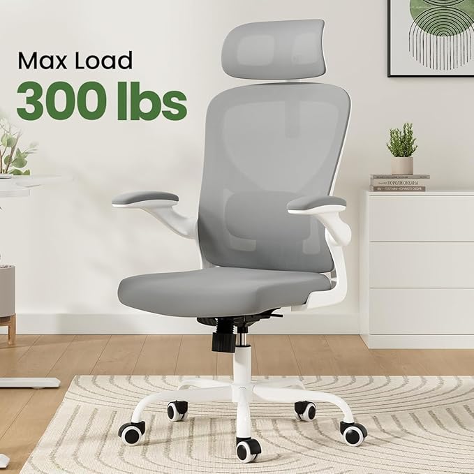 Soohow Ergonomic Office Chair,Home Office Desk Chair with Adjustable Lumbar Support Armrests,Comfy Computer Desk Chair with Headrest,for Home and Office, Gray