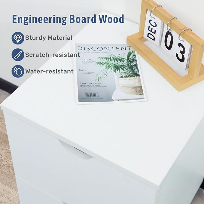 HollyHOME Under Desk Cabinet, Deep 2-Drawer Mobile Wood Cabinet, Storage Drawer for Home, Rolling Shelf for Office, Rolling Printer Stand, for A4, Modern, White