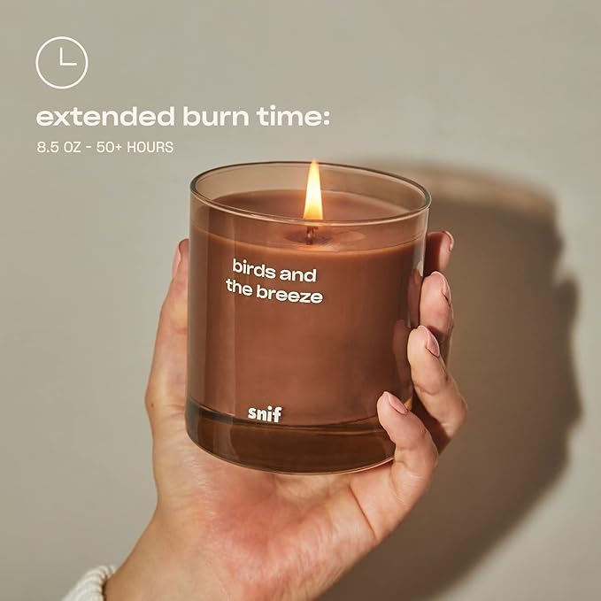 Birds and The Breeze Luxury Scented Candle by Snif, Light and Airy Scent, 50+ Hours, 100% Cotton Fiber Wicks, Soy Wax Blend, Non-Toxic, Vegan, 8.5 oz…