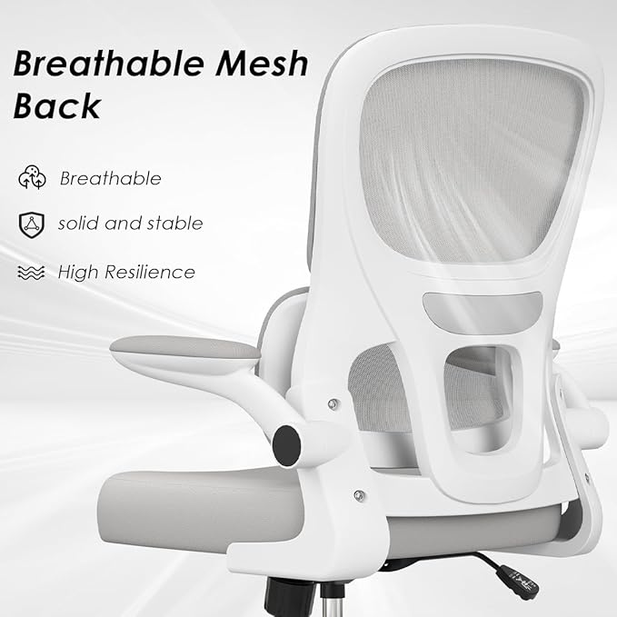 Soohow Office Chair, Mesh Ergonomic Office Chair with Lumbar Support, Comfy Computer Desk Chair with Flip Armrest Rolling Wheels for Home Study Room Office, White & Gray