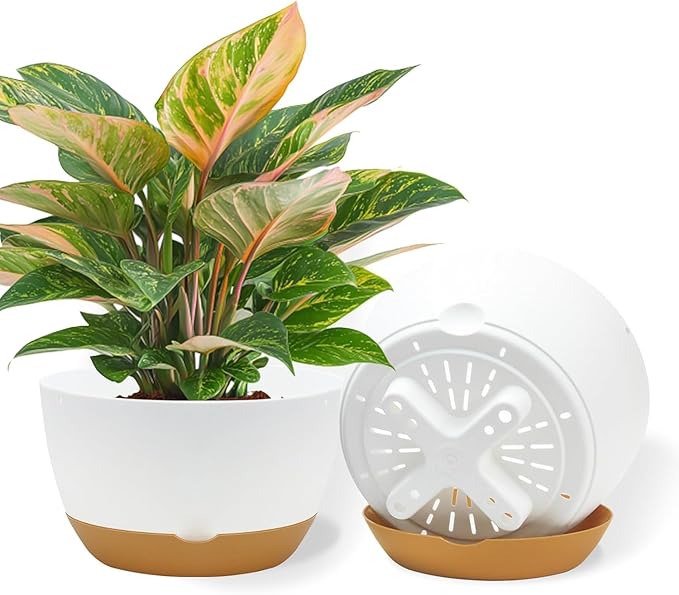 12 Inch Pots for Indoor Plants, Large Self Watering Planters with Drainage and Saucers, Plastic Outdoor Flower Pot, Set of 2, White