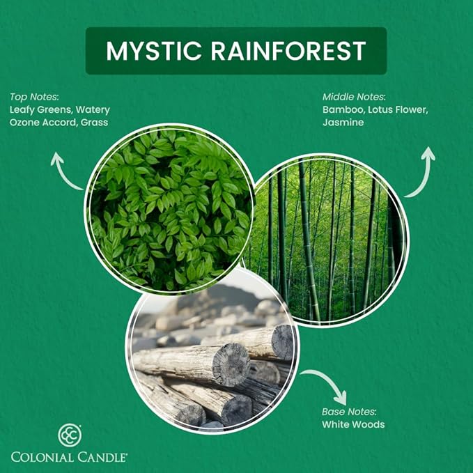 Colonial Candle Mystic Rainforest Scented Jar Candle, Pop of Color Collection, 3 Wick, Green, 14.5 oz - Up to 60 Hours Burn