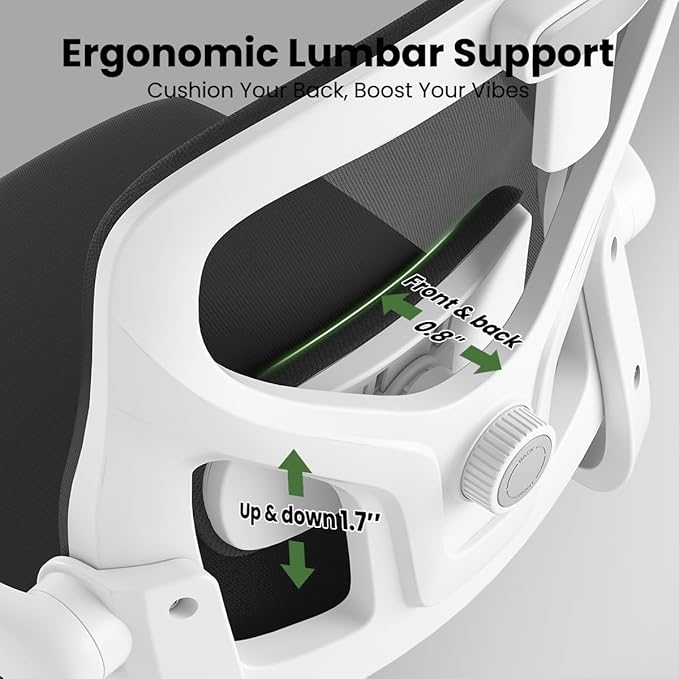 Soohow Ergonomic Office Chair,Home Office Desk Chair with Adjustable Lumbar Support Armrests,Comfy Computer Desk Chair with Headrest,for Home and Office, Black