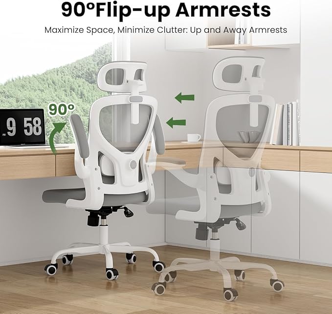 Soohow Ergonomic Office Chair,Home Office Desk Chair with Adjustable Lumbar Support Armrests,Comfy Computer Desk Chair with Headrest,for Home and Office, Gray