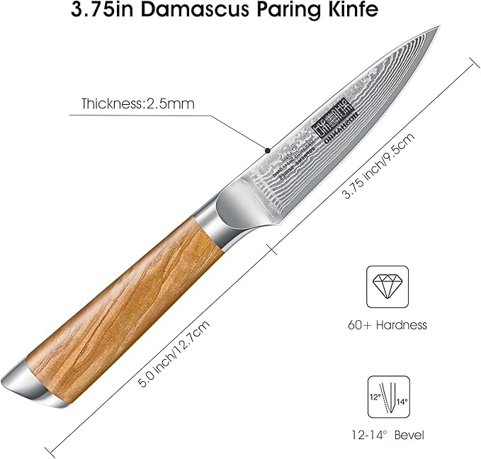 Damascus Paring Knife 3.75 Inch, Professional 67 Layers Damascus Super Steel Small Fruit Knife, Super Sharp Hand Forged Japanese Paring Knife