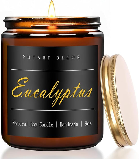 Eucalyptus Mint Candles for Home Scented, Natural Soy Aromatherapy Non Toxic Candles with Long Lasting Fragrance & Clean Burn, Luxury Jar Candle Gift for Women, Men, Home Decoration 9oz