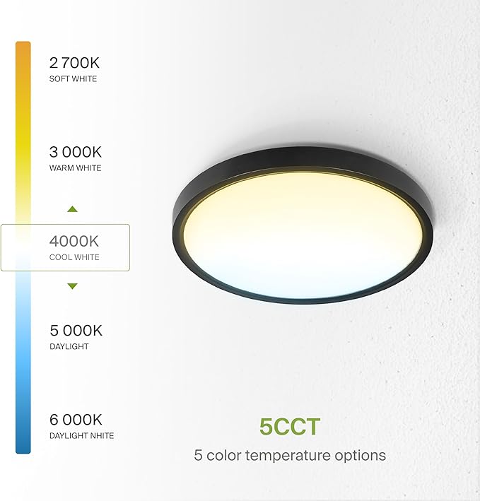 ASD LED 12" Round Flush Mount Ceiling Light Fixture, Low Profile Surface Lighting | 5CCT, Dimmable, Ultra-Thin, ETL Listed | 24W 2000LM 2700-6000K 100-277V | Kitchen, Bedroom, Hallway Lamp | Black