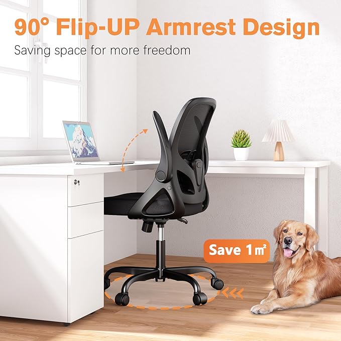 Home Office Desk Chair with Supportive Lumbar Support and Flip up Arms, Breathable Double Mesh Ergonomic Home Desk Chair for Home or Work with Extended Height(Black)