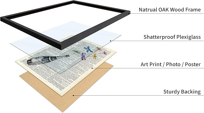 Poster Master Dictionary Art Poster - Champagne Bottle Print - Dragonfly Art - Alcohol Art - Gift for Men, Women & Bartender - Great Decor for Bar, Kitchen or Restaurant, 16x20 Black Framed