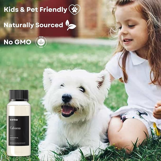 Hotel Diffuser Oil Inspired by The Ritz Carlton Hotel Scent - 120 mL 4.06 fl oz - Essential Oil Blend Botanical Jasmine, Bergamot & Fresh Marine Notes for Aromatherapy Diffusers - Cabana