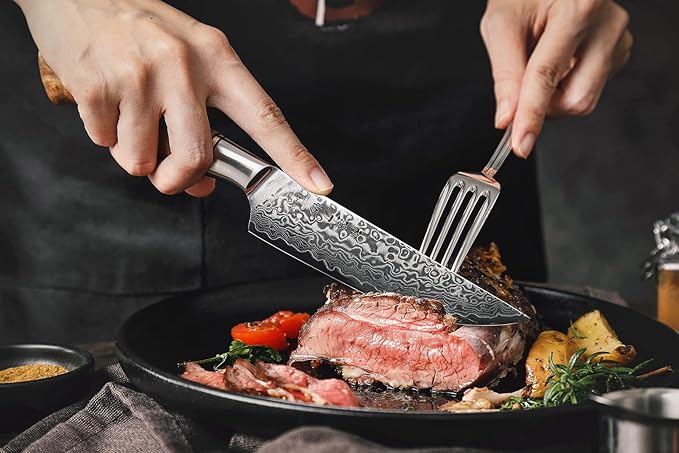 HEZHEN 6PCS Kitchen Knife Set Professional Forged Damascus High Carbon Steel Steak Knife Figured Sycamore Wood Handle-Porcelain Gift Package