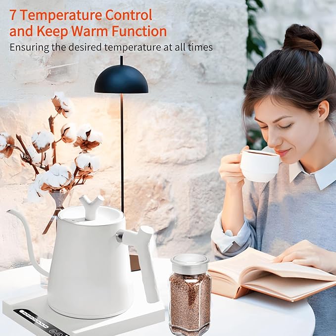 Gooseneck Electric Kettle Temperature Control & Keep Warm, 7 TEMP Control Electric Kettles for Boiling Water,Quickly Heating Kettle Electric Stainless Steel for Coffee & Tea, 800W/1L