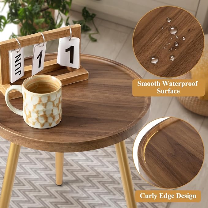 danpinera Round Side Table, Metal Legged Accent Table with Wooden Tray, Small Round End Table for Living Room, Bedroom, Nursery, Brown & Gold