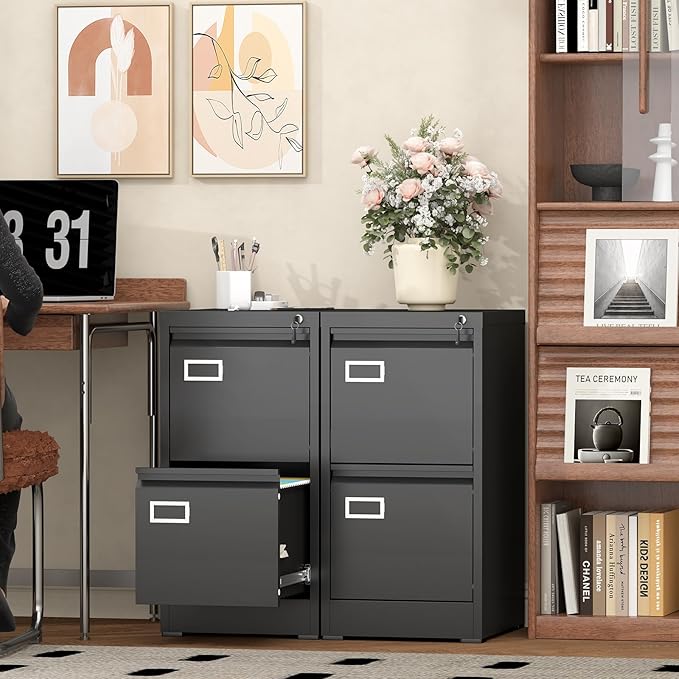 LUCYPAL 2 Drawer File Cabinet with Lock,Metal Filing Cabinets for Home Office,Under Desk Locking Storage Cabinet for Letter/Legal/A4 Files,Assembly Required(Black)