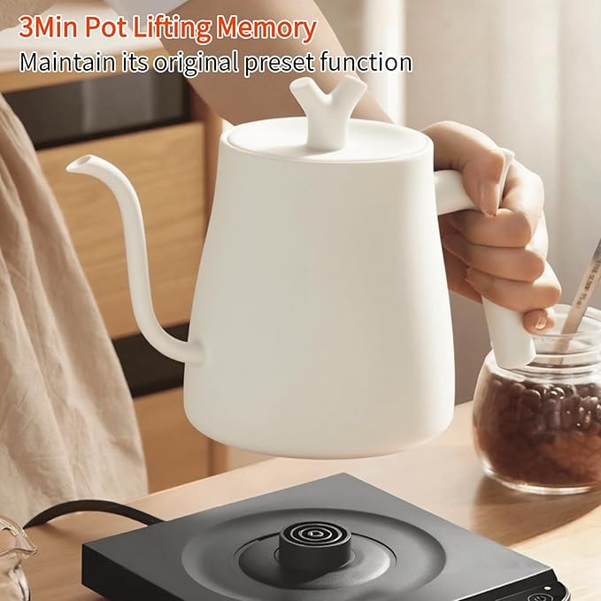 Gooseneck Electric Kettle Temperature Control & Keep Warm, 7 TEMP Control Electric Kettles for Boiling Water,Quickly Heating Kettle Electric Stainless Steel for Coffee & Tea, 800W/1L