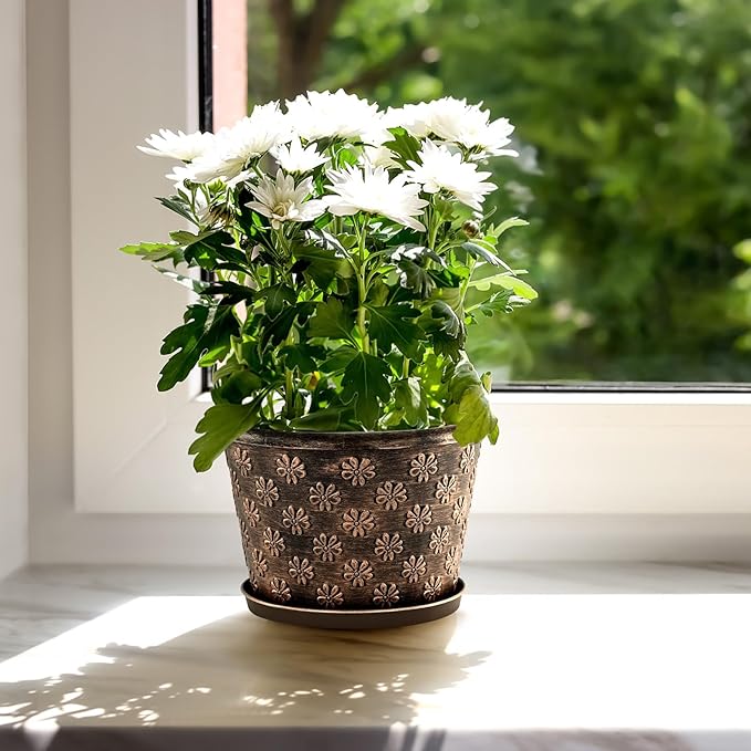 8 Inch Planter Pots for Plants, Plastic Flower Pots Indoor Outdoor, 5 Pack Resin Plant Pot with Drainage & Saucer, Retro Decorative Garden Pot with Removable Trays for House