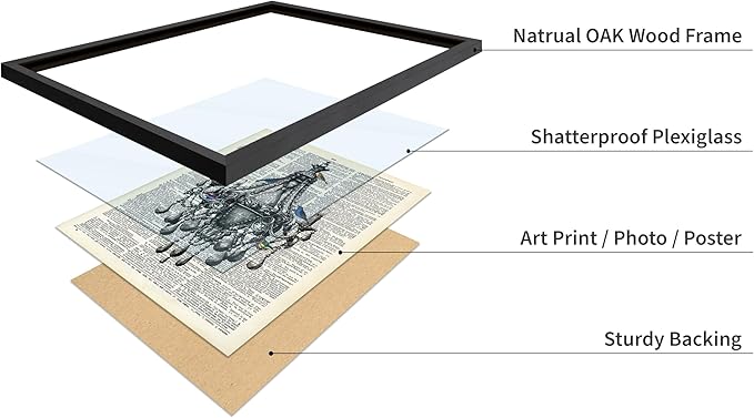 Poster Master Dictionary Art Poster - Antique Chandelier Print - Bird Art - Baroque Art - Gift for Men & Women - Chic Decor for Living Room, Dining Room, Bedroom or Kitchen, 16x20 Black Framed