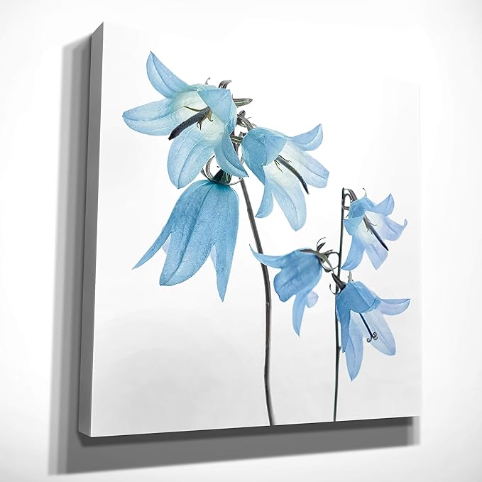 Wexford Home Gorgeous Blue IV Gallery Wrapped Canvas Wall Art, 40x40,