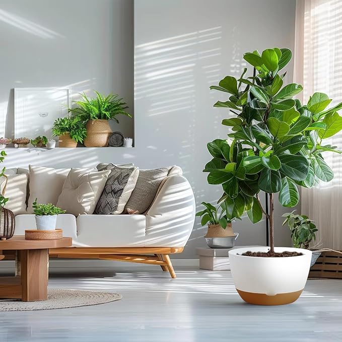 12 Inch Pots for Indoor Plants, Large Self Watering Planters with Drainage and Saucers, Plastic Outdoor Flower Pot, Set of 2, White