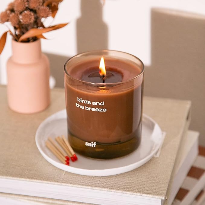 Birds and The Breeze Luxury Scented Candle by Snif, Light and Airy Scent, 50+ Hours, 100% Cotton Fiber Wicks, Soy Wax Blend, Non-Toxic, Vegan, 8.5 oz…