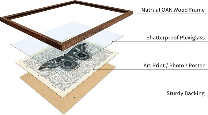 Poster Master Dictionary Art Poster - Butterfly Print - Eyes on Wings Art - Insect Art - Gift for Men, Women & Animal Lover - Gothic Decor for Living Room, Bedroom or Dorm, 16x20 Brown Framed