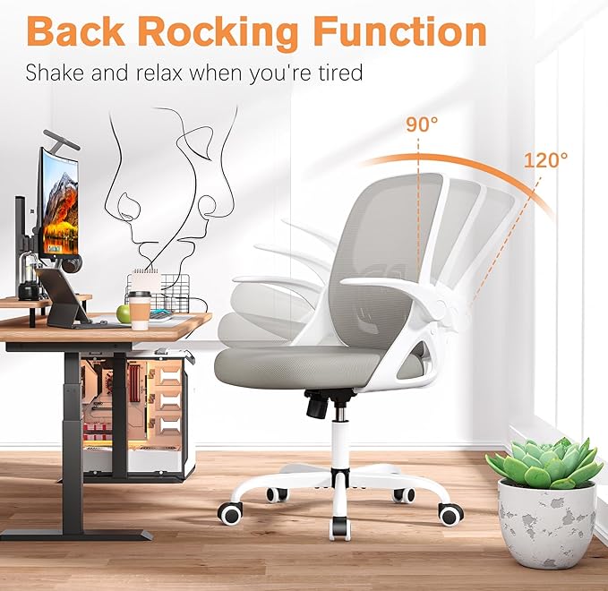 Home Office Desk Chair with Supportive Lumbar Support and Flip up Arms, Breathable Double Mesh Ergonomic Home Desk Chair for Home or Work with Extended Height(Gray)
