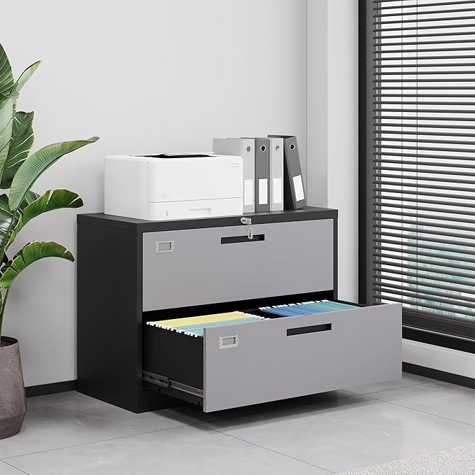 Letaya File Cabinet with Lock-Lateral 2 Drawer Metal Filing Cabinets-Organization Storage Cabinets for Home Office-Hanging Letter/Legal/F4/A4 Size (2 Drawer-Grey Black)