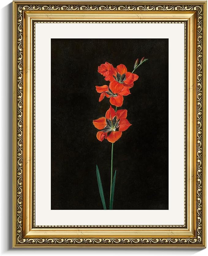 VIYYIEA Gold Framed Wall Art Canvas Print Home Decor Red Flower Wall Art Black Background Floral Scenic Oil Painting Aesthetic Wall Decor Modern Wall Pictures for Bedroom Bathroom and Office 11x14in