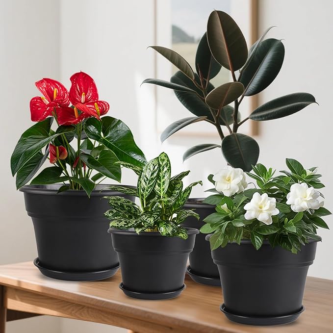 6-inch-Plant-Pots-Indoor-Outdoor, 6 Pack Plastic Planters with Drainage Holes & Saucers, Resin Flower Pots with Trays, Classic Garden Pot Container for House