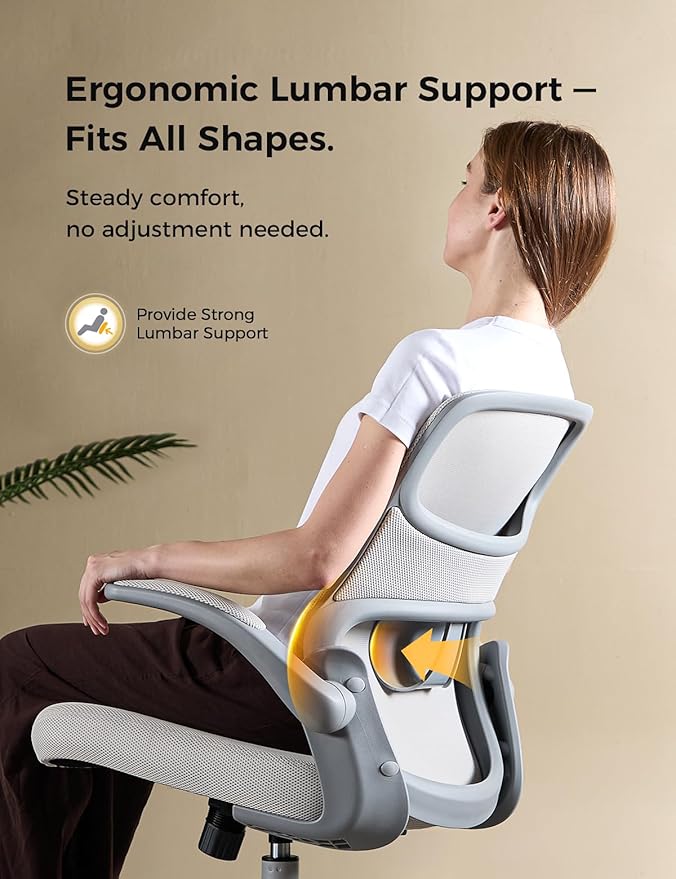 Office Chair, Mesh Ergonomic Desk Chairs, Lumbar Support, Adjustable Height, Flip-up Armrests, Swivel Function and Smooth-Rolling Wheels for Home, Office and Gaming (Gray)