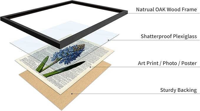 Poster Master Dictionary Art Poster - Blue Hyacinth Print - Flower Art - Floral Art - Gift for Men, Women & Florist - Minimal Decor for Bedroom, Office, Dorm or Flower Shop, 16x20 Black Framed