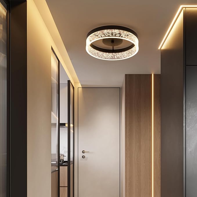 Jaycomey Modern LED Ceiling Light Fixture, 11.65" Black Flush Mount Kitchen Lighting with Clear Seeded Acrylic Lampshade,Round Ceiling Lamp Lights for Dining Room Foyer Hallway