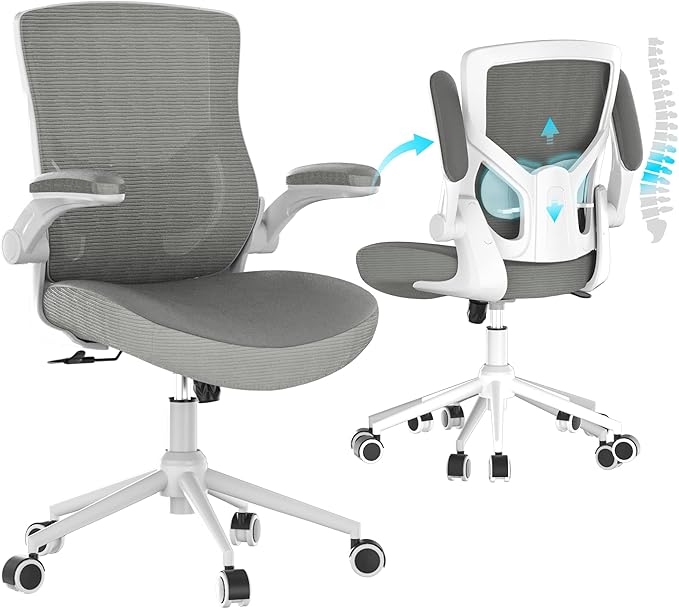 Office Chair, High Back Desk Chair Adjustable Height and Ergonomic Design Home Office Computer Chair Executive Lumbar Support Padded Flip-up Armrest Swivel Task Chair