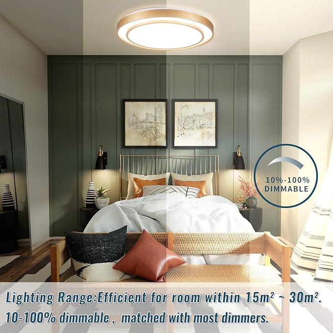 20 inch Flush Mount Ceiling Light Fixture LED 36W, Gold Dimmable Fixture Ceiling Mount Overhead, Modern Close to Ceiling Light 5CCT for Living Room,Kitchen, Bedroom