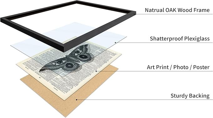 Poster Master Dictionary Art Poster - Butterfly Print - Eyes on Wings Art - Insect Art - Gift for Men, Women & Animal Lover - Gothic Decor for Living Room, Bedroom or Dorm, 8x10 Black Framed