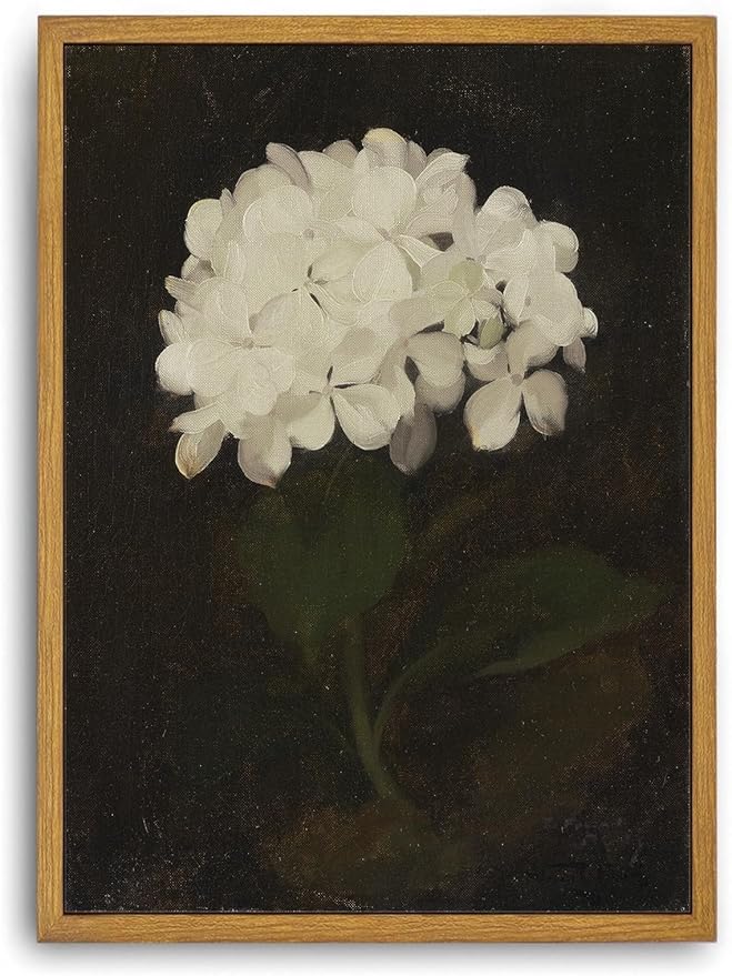 Djmwtb Vintage Framed Wall Art White Hydrangea Canvas Wall Art Minimalist Floral Art Prints Flower Botanical Painting Pictures Wall Decor Artwork for Living Room Bedroom Bathroom 8x10in
