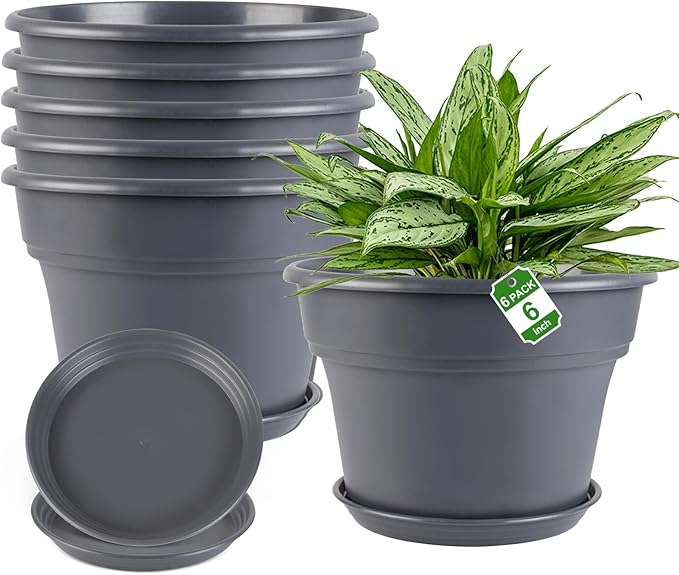 6-inch-Plant-Pots-Indoor-Outdoor, 6 Pack Plastic Planters with Drainage Holes & Saucers, Resin Flower Pots with Trays, Classic Garden Pot Container for House