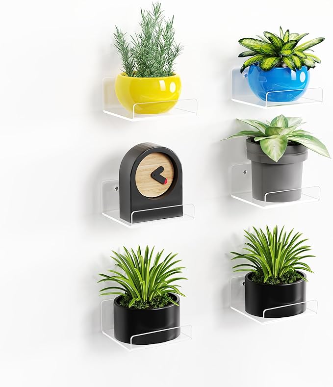 upsimples 6 Pack Acrylic Small Shelves, Floating Wall Shelves for Small Space, Display Shelf Organizer for Plants, Speaker, Toys, 4'' x 4'', Clear