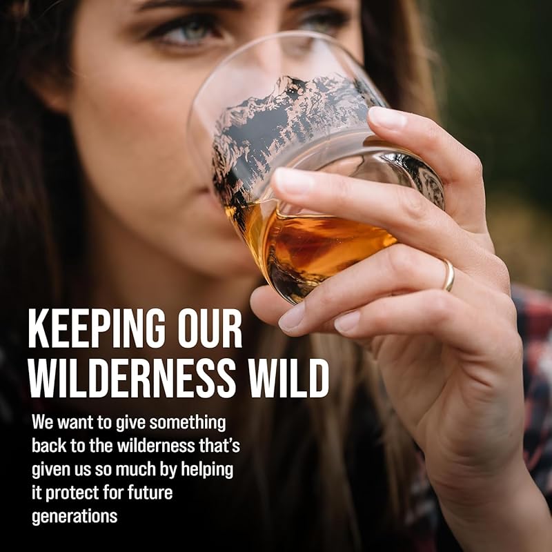 Black Lantern Whiskey Glass Set - Old Fashioned Tumbler Glasses for Cocktails Bourbon Scotch and Whisky - Nature Graphics - Two 11oz. Tumblers with Heavy Base (Locomotive Blueprints)