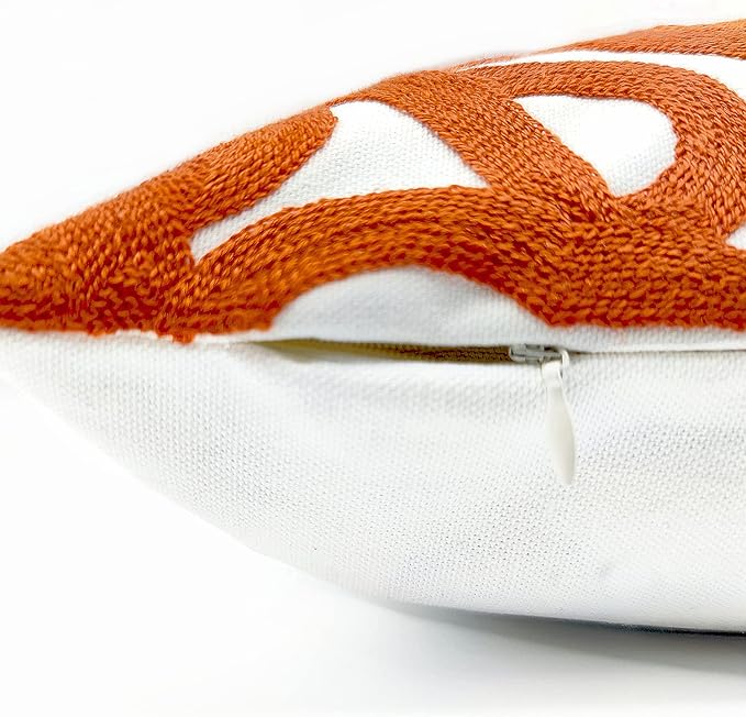 Alysheer Embroidered Decorative Throw Pillow Cover 20"x 20", Boho Mandala Modern Thick Embroidery Pattern, Durable Cotton Canvas Soft Cushion Case for Sofa Couch Bed Living Room (Burnt Orange)