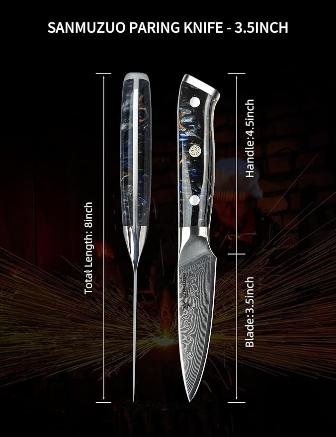 3.5 Inch Paring Knife - Kitchen Fruit Vegetable Knife Damascus Steel & Resin Handle - Xuan Series (Starry Black)