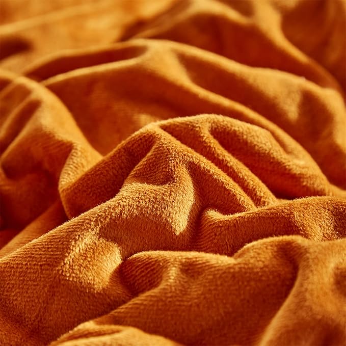 Burnt Orange Velvet Comforter Set Queen – 3-Piece Luxuriously Solid Soft Plush Bedding Set Cozy Fluffy Quilt with 2 Pillowcases Stylish All-Season Warm Comforter