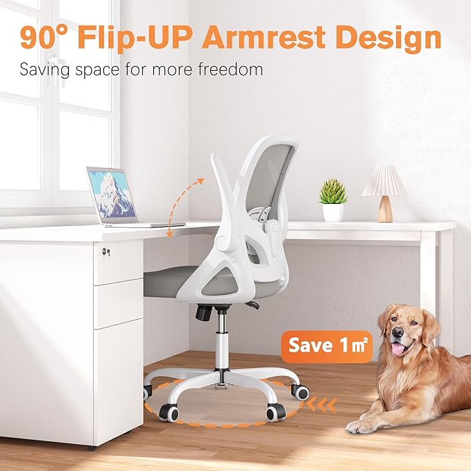 Home Office Desk Chair with Supportive Lumbar Support and Flip up Arms, Breathable Double Mesh Ergonomic Home Desk Chair for Home or Work with Extended Height(Gray)