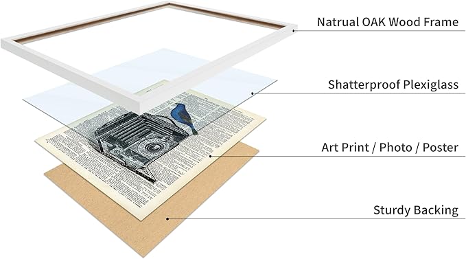 Poster Master Dictionary Art Poster - Antique Camera Print - Bird Art - Photography Art - Gift for Men, Women & Photographer - Chic Decor for Living Room, Bedroom or Office, 11x14 White Framed