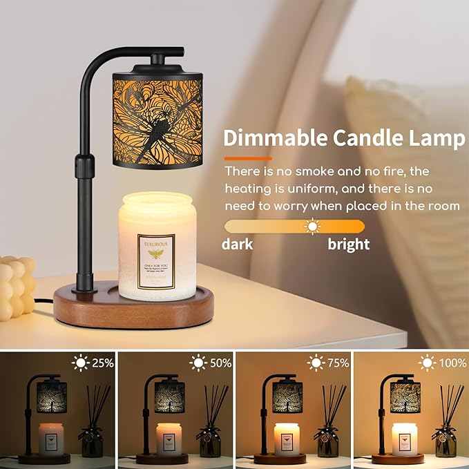 Candle Warmer Lamp with Timer, Electric Candle Lamp Warmer Birthday for Mom Women Home Bedroom Decor Wax Melt Warmer for Scented Wax with Jar Candles (Dragonfly)