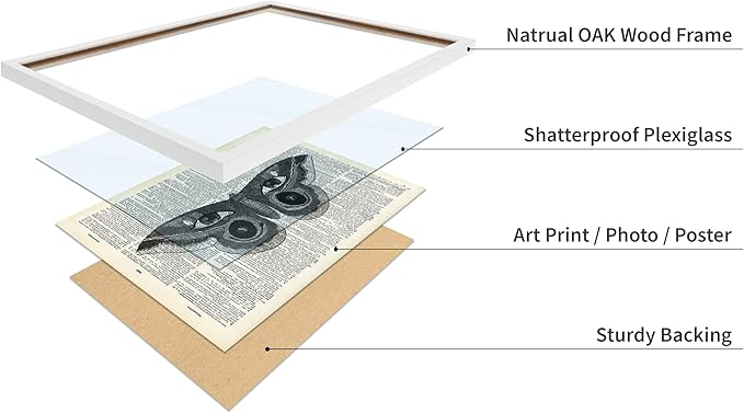 Poster Master Dictionary Art Poster - Butterfly Print - Eyes on Wings Art - Insect Art - Gift for Men, Women & Animal Lover - Gothic Decor for Living Room, Bedroom or Dorm, 16x20 White Framed