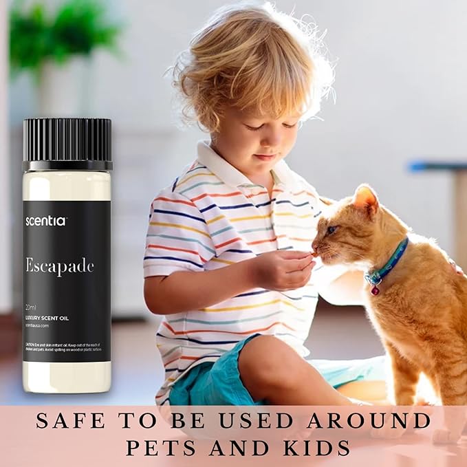 Hotel Diffuser Oil Inspired by The Ritz Carlton Hotel Scent - 20 mL 0.67 fl oz - Aromatherapy Fragrance Oil Inspired by 5 Star Hotel - Escapade