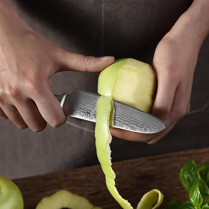 Wakoli Damascus Small Santoku Knife 5-inch - 67-Layer VG10 Core Steel, Razor Sharp Blade with Pakkawood Handle, Multi-Purpose Kitchen Knife for Meat, Vegetables & All Tasks (EDIB)