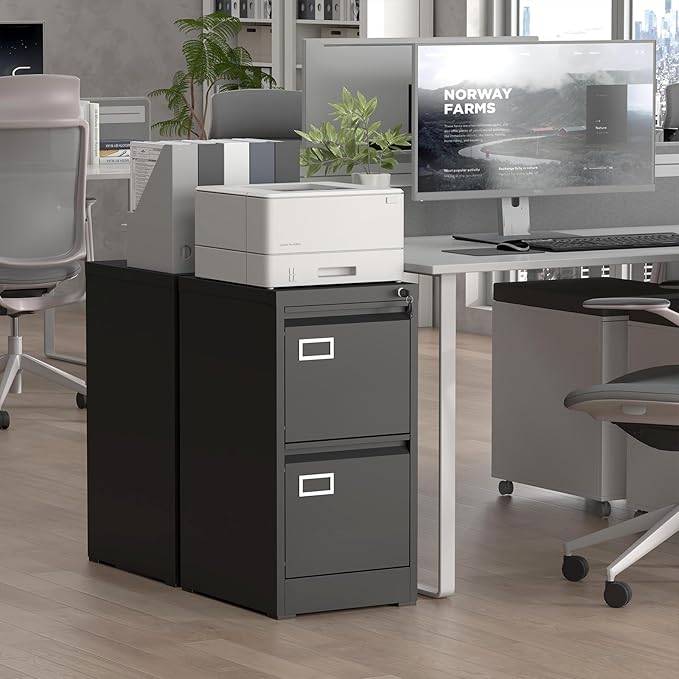 Filing Cabinet,2 Drawer File Cabinet with Lock,Small Filing Cabinets for Home Office,Letters/Legal/A4,Assembly Required,Black