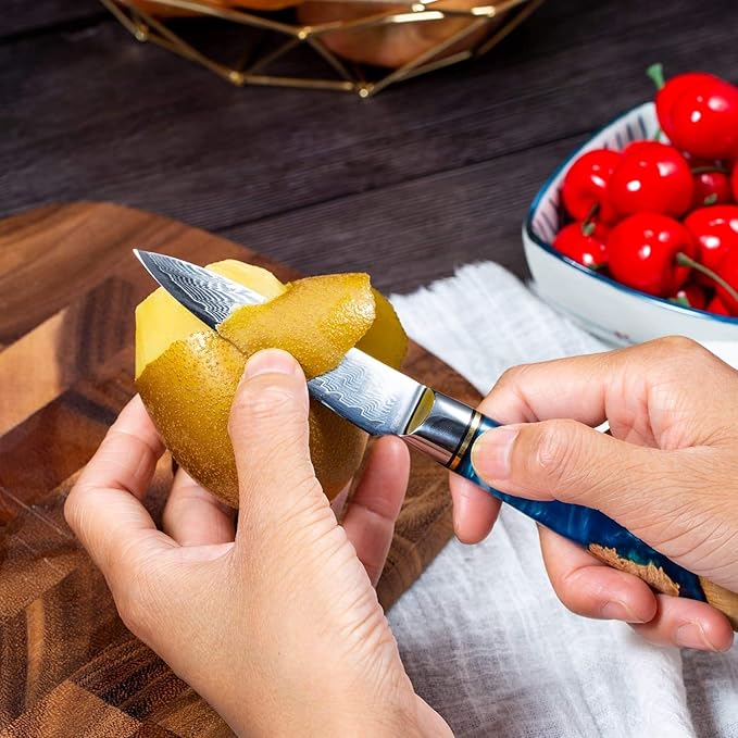Paring Knife 3.5 Inch Damascus Paring Knife Small Fruit Knife Ultra Sharp Damascus VG10 Core Steel with 66 Layers High Carbon Steel Classical Pattern Blue Handle Unique Gifts with Gift Box